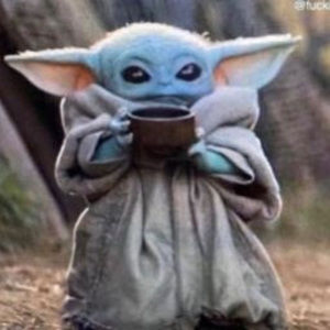 Meet your Posher, William